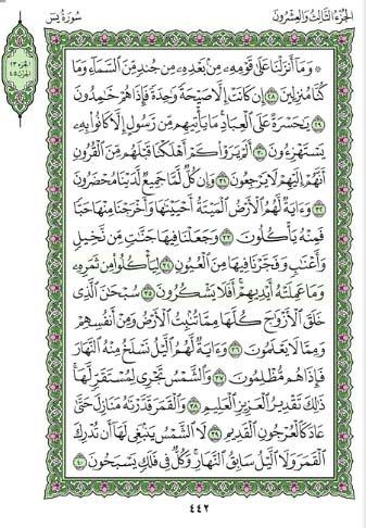 surah yaseen pdf arabic